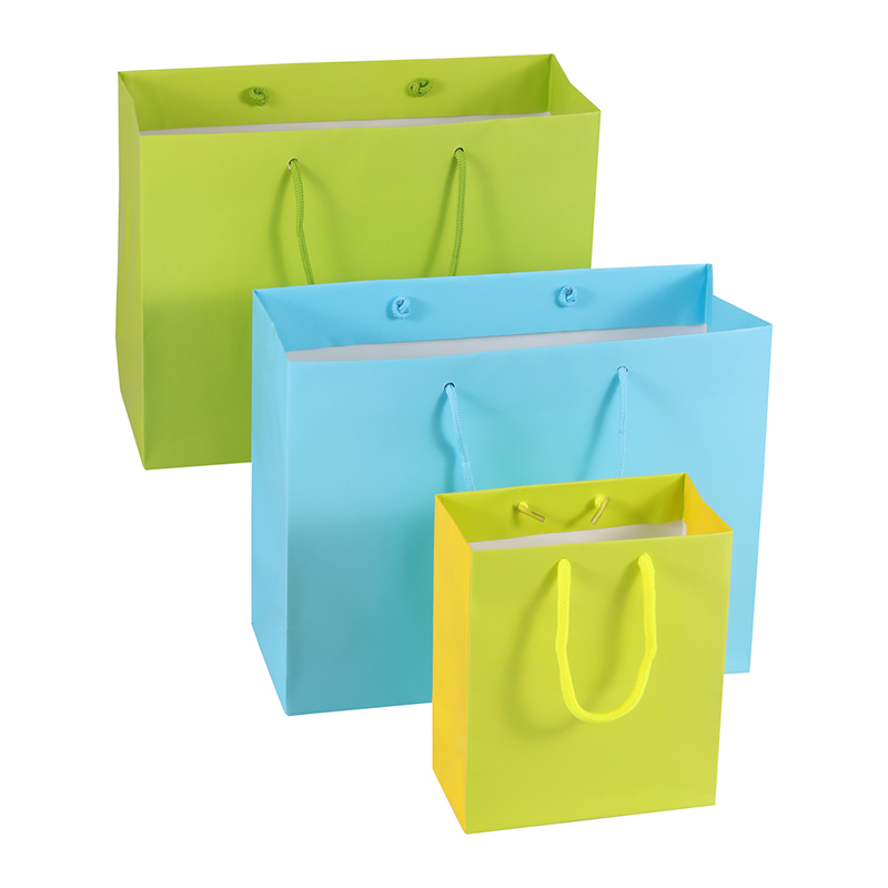 Bolsa de papel multicolor única de la tienda al por menor de Lipack para ir de compras
